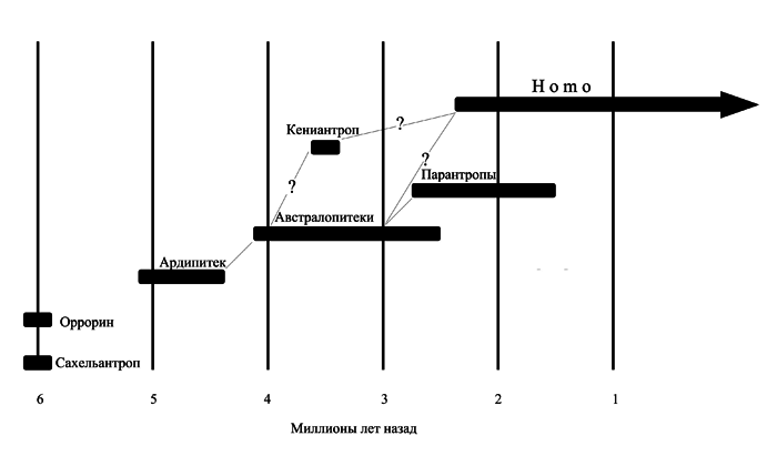 История одной случайности, или Происхождение человека - i_003.png