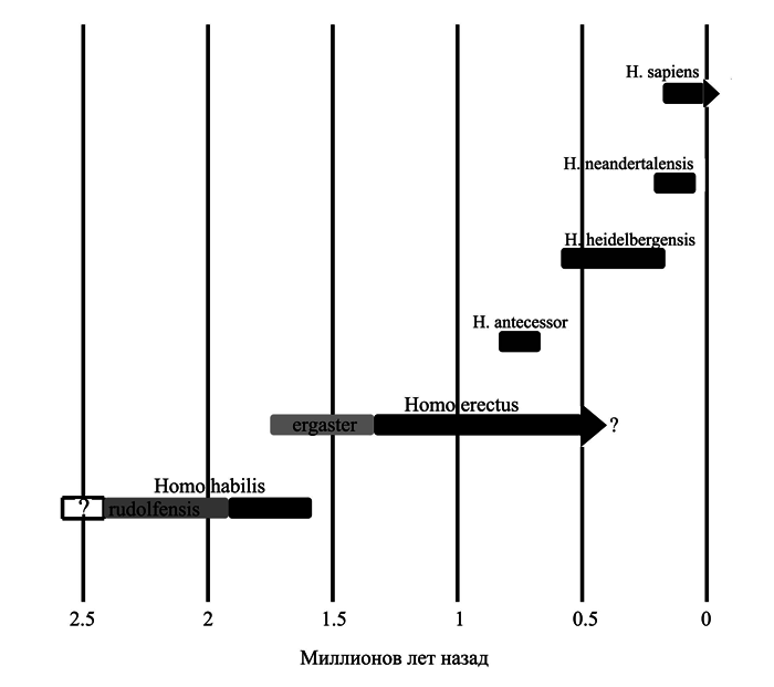 История одной случайности, или Происхождение человека - i_005.png