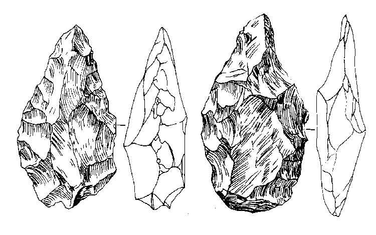 История одной случайности, или Происхождение человека - i_026.png