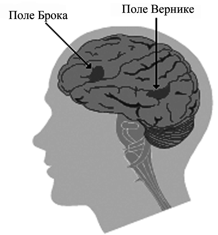 История одной случайности, или Происхождение человека - i_028.png