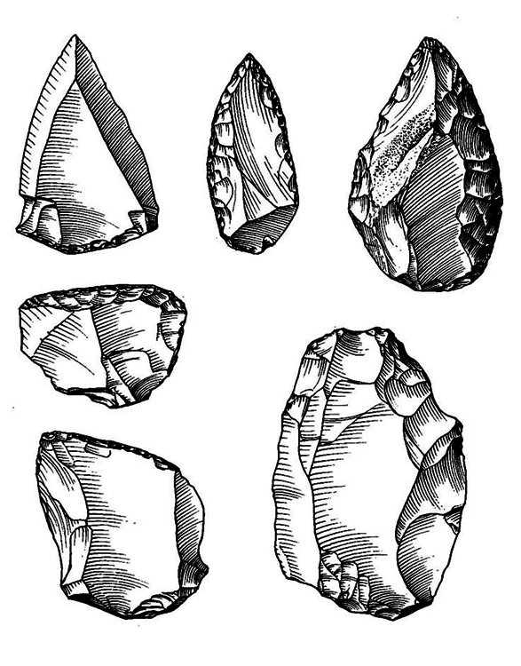 История одной случайности, или Происхождение человека - i_032.png