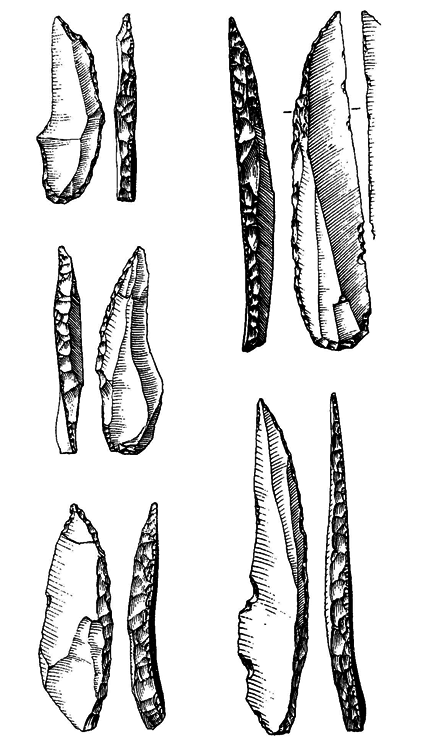 История одной случайности, или Происхождение человека - i_034.png