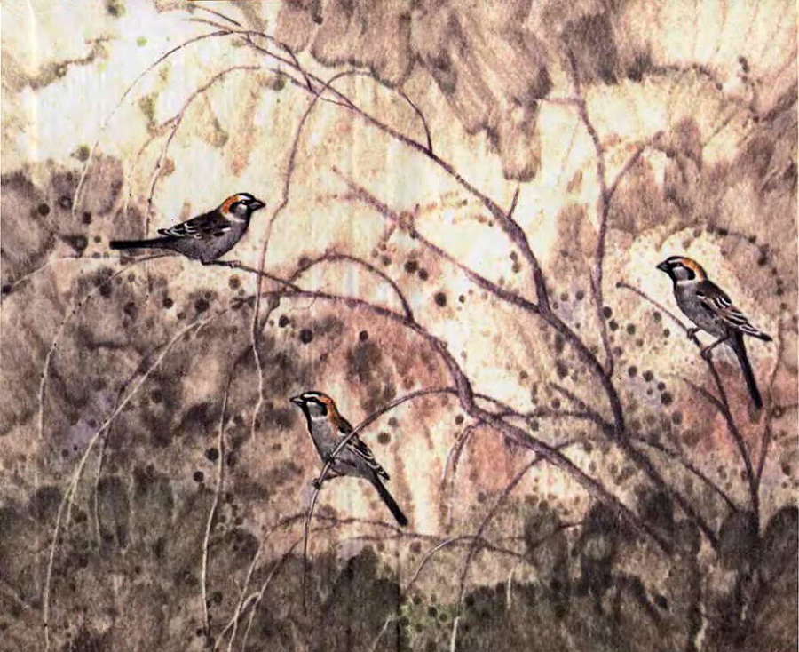 Загадки остались - i_029.jpg