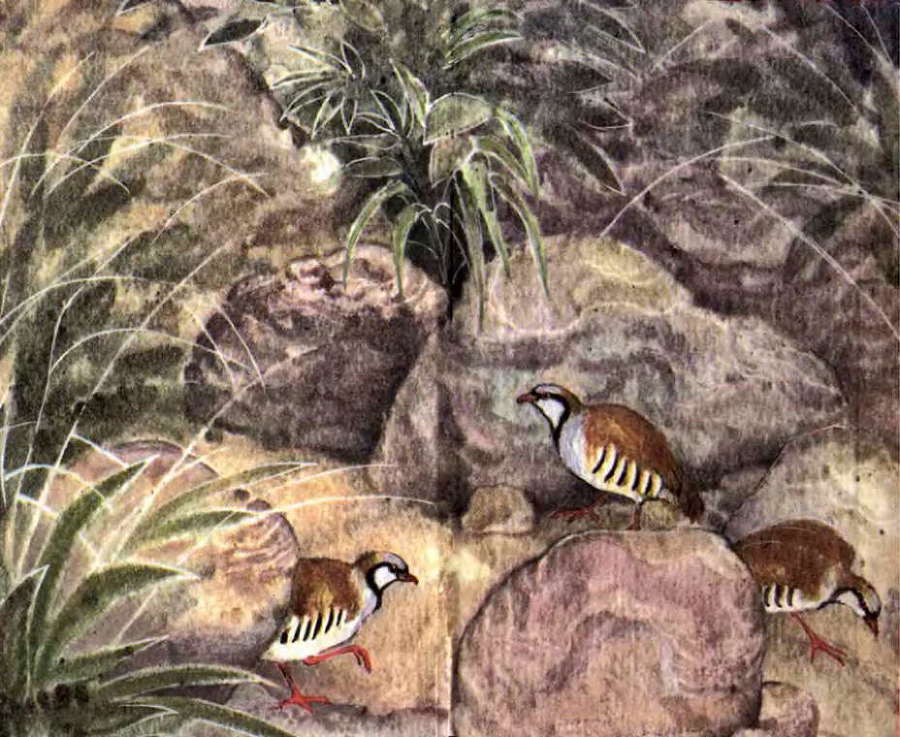 Загадки остались - i_030.jpg