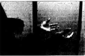 Рождение разума. Загадки нашего сознания - img_6.jpeg