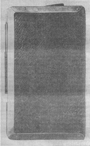 Том 17. Записные книжки. Дневники - i_005.jpg