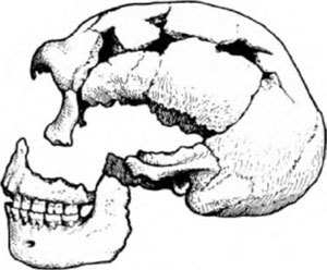 Неандертальцы: история несостоявшегося человечества - img_01_04.jpg