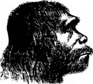 Неандертальцы: история несостоявшегося человечества - img_02_04.jpg