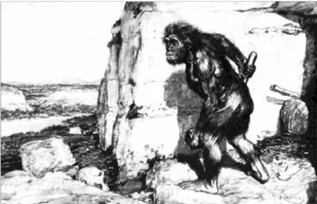 Неандертальцы: история несостоявшегося человечества - img_02_06.jpg