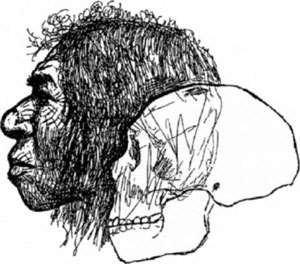 Неандертальцы: история несостоявшегося человечества - img_02_10.jpg