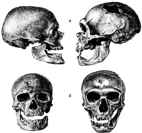 Неандертальцы: история несостоявшегося человечества - img_02_19.jpg