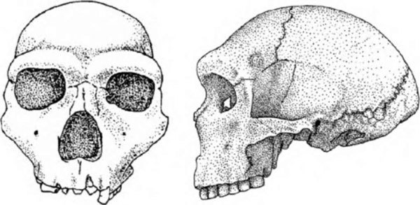 Неандертальцы: история несостоявшегося человечества - img_03_09.jpg