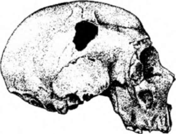 Неандертальцы: история несостоявшегося человечества - img_03_13.jpg