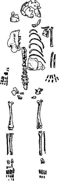 Неандертальцы: история несостоявшегося человечества - img_11_07.jpg