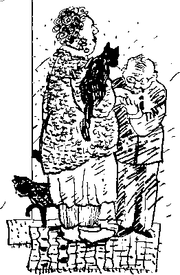 Собрание сочинений в 10 томах. Том 1. Ларец Марии Медичи - i_006.png