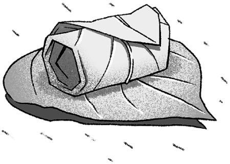 Молли Мун и магическое путешествие во времени - i_002.jpg