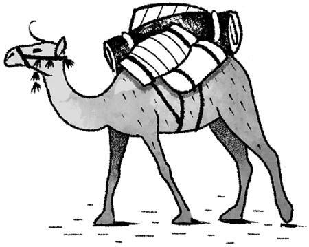 Молли Мун и магическое путешествие во времени - i_008.jpg