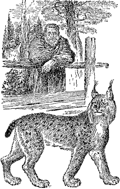 Найденыш - i_002.png