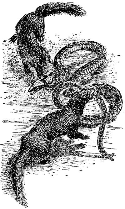 Найденыш - i_006.png