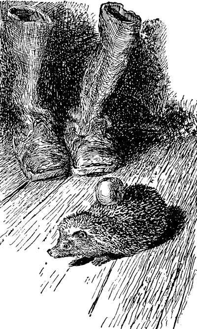 Найденыш - i_007.png