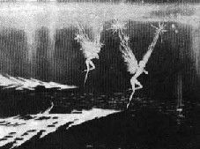 Жизнь и сказки Уолта Диснея - pic23.jpg