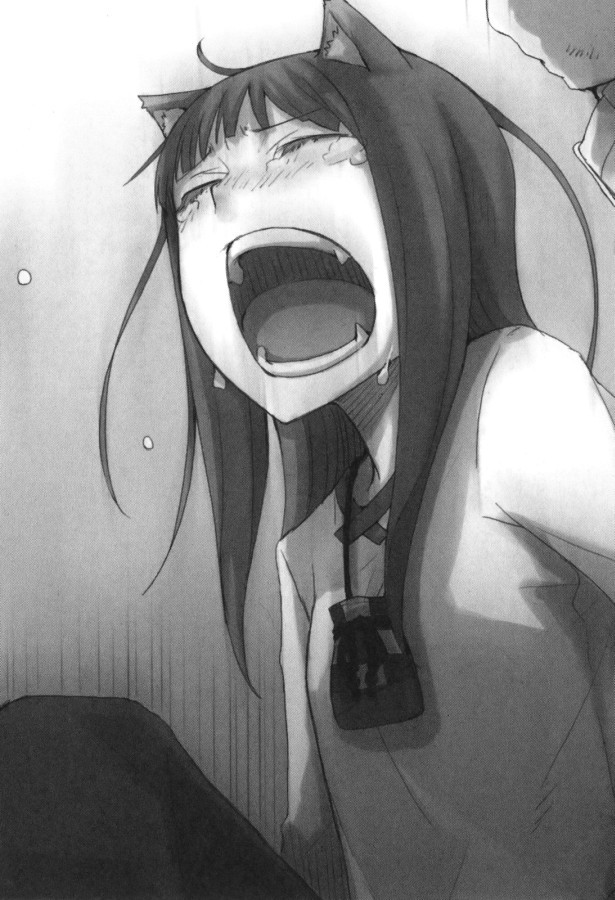 Волчица и пряности (ЛП) - doc2fb_image_0200000B.jpg