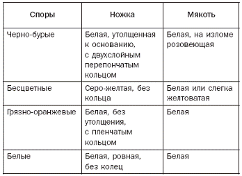 Полная энциклопедия грибов - pic_10.png