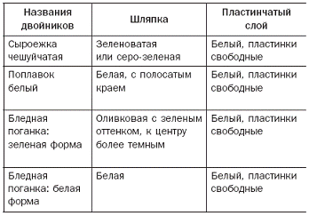 Полная энциклопедия грибов - pic_11.png