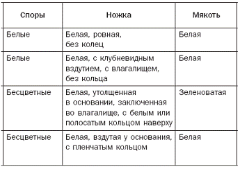 Полная энциклопедия грибов - pic_13.png