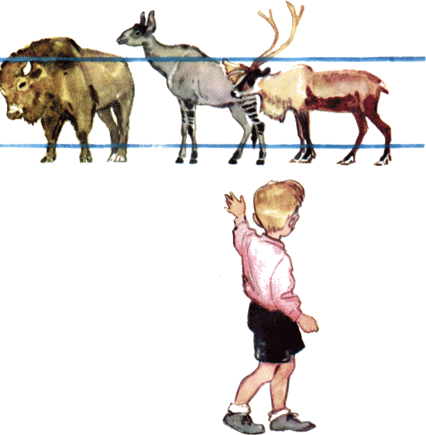 Что ни страница, то слон, то львица - i_016.png