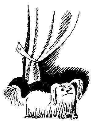 Крах Мишки Мухоркина - _10.jpg