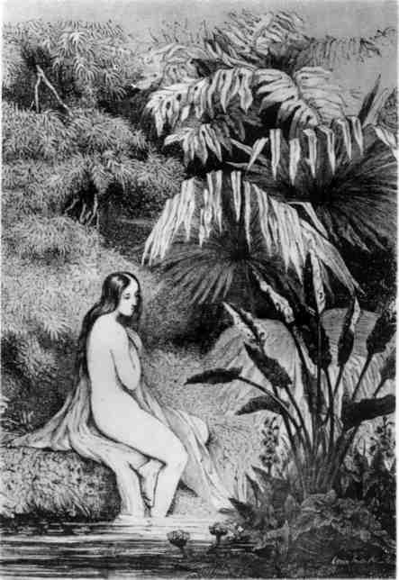 Поль и Виргиния. Индийская хижина - img_14.jpeg