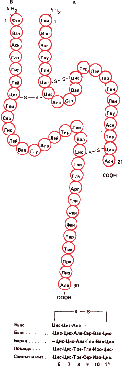 Аксиомы биологии - i_05.png