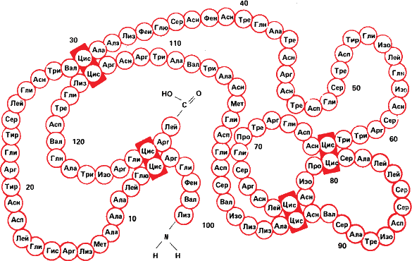 Аксиомы биологии - i_25.png