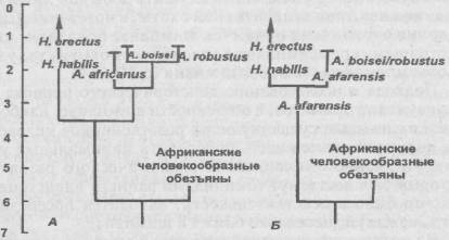 Антропология. Хрестоматия - i_009.jpg