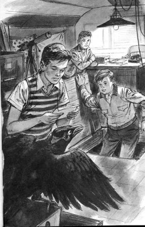 Тайна попугая-заики - _4.jpg