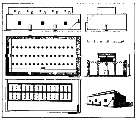 Царь Соломон - i_027.png