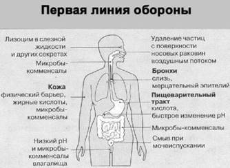 Имя ему СПИД: Четвертый всадник Апокалипсиса - i_001.jpg