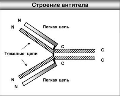 Имя ему СПИД: Четвертый всадник Апокалипсиса - i_002.jpg