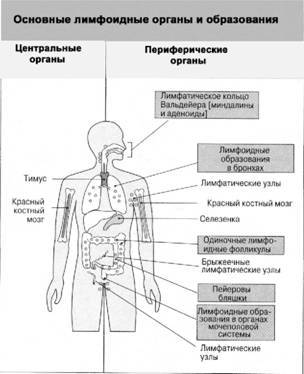 Имя ему СПИД: Четвертый всадник Апокалипсиса - i_003.jpg