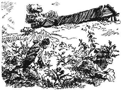 Собрание сочинений в четырех томах. Том 1 - i_005.png