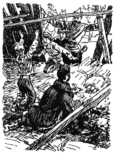 Собрание сочинений в четырех томах. Том 1 - i_009.png