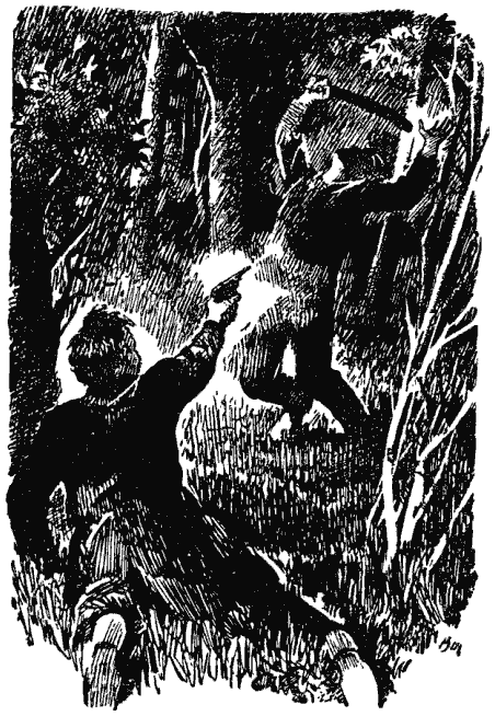 Собрание сочинений в четырех томах. Том 1 - i_016.png