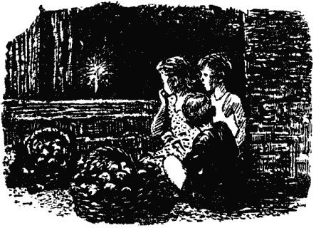 Собрание сочинений в четырех томах. Том 1 - i_020.png