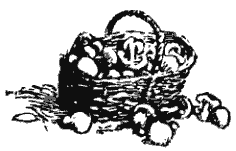 Собрание сочинений в четырех томах. Том 1 - i_021.png