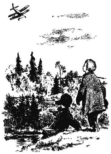 Собрание сочинений в четырех томах. Том 2 - i_003.png