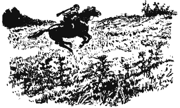 Собрание сочинений в четырех томах. Том 2 - i_010.png