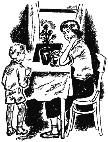 Собрание сочинений в четырех томах. Том 2 - i_013.png