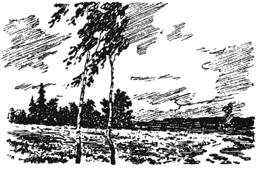 Собрание сочинений в четырех томах. Том 2 - i_017.png