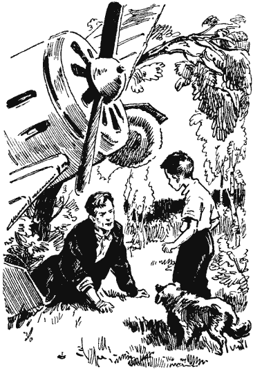 Собрание сочинений в четырех томах. Том 3 - i_002.png